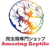 爬虫類専門ショップ Amazing Reptile